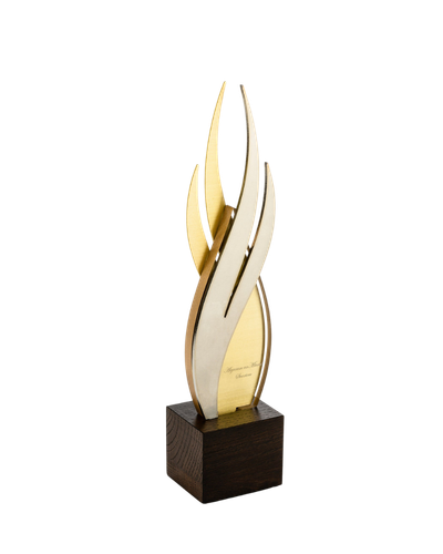 Abstract flame corporate award by Trophy Xpert